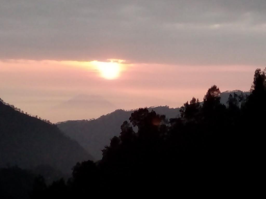 Bromo Otix Guest House Kültér fotó