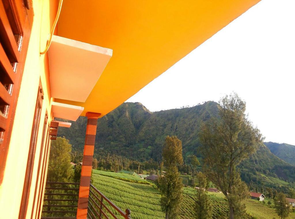 Bromo Otix Guest House Kültér fotó