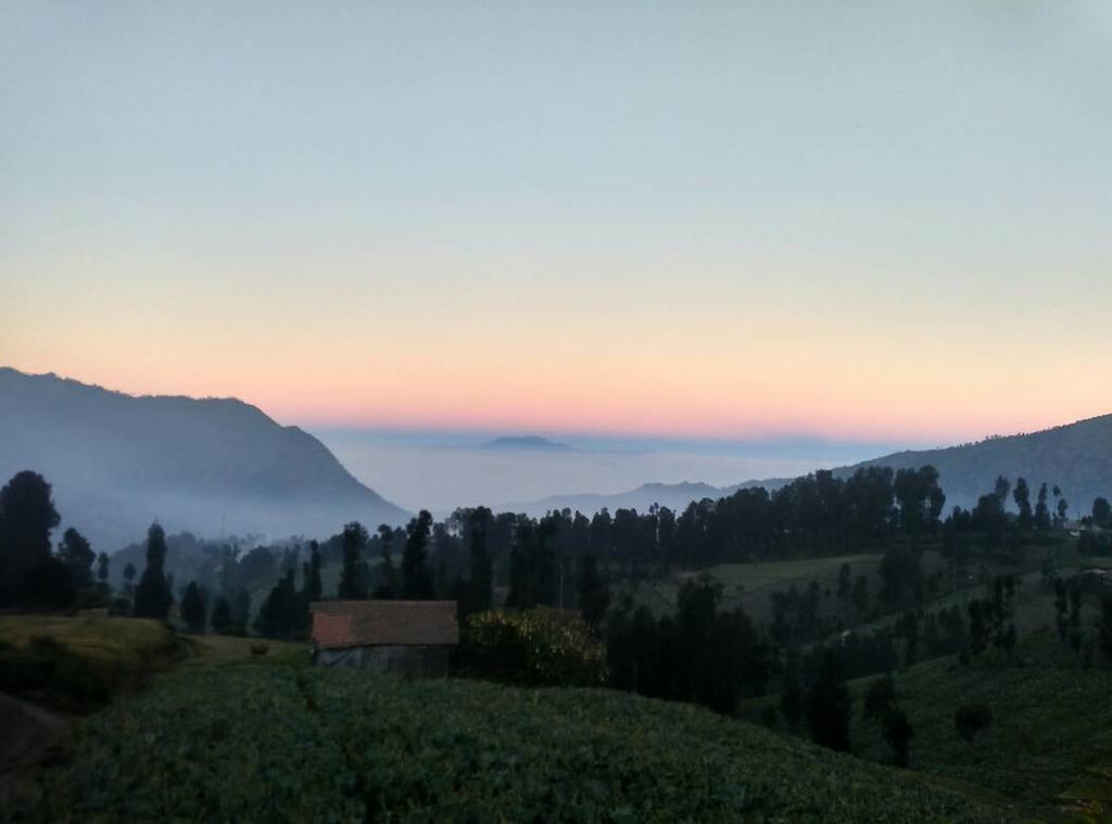 Bromo Otix Guest House Kültér fotó