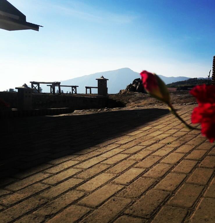 Bromo Otix Guest House Kültér fotó