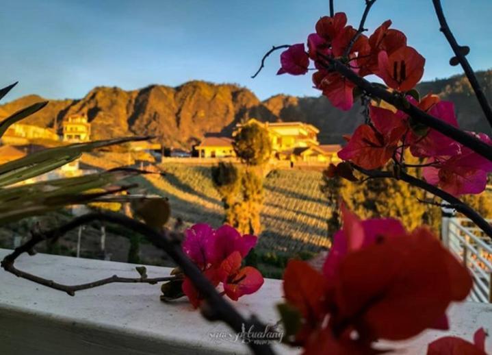 Bromo Otix Guest House Kültér fotó